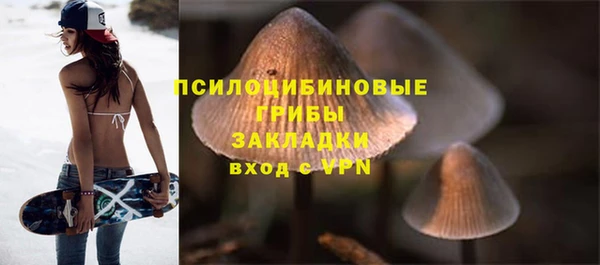 амф Арсеньев