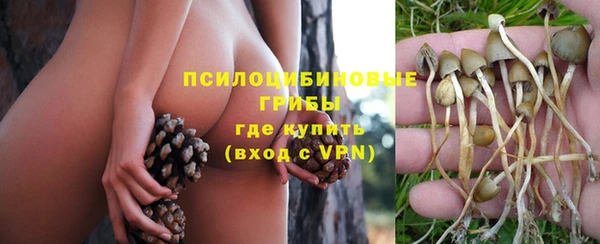 СК Аркадак